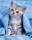 il fait tr�s froid....